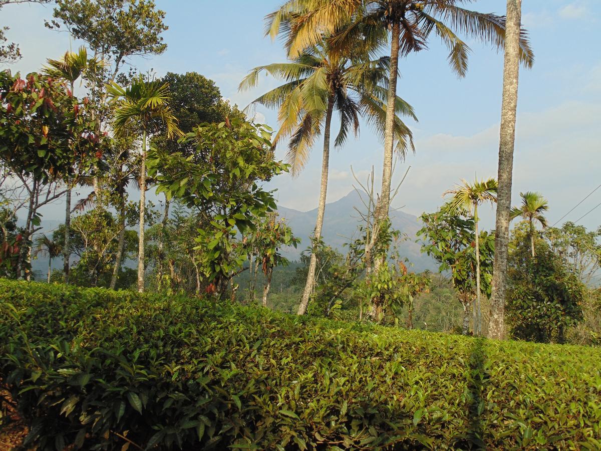 Tranquil Valley Resort Munnar Exterior photo